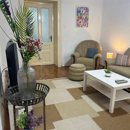 Nf'S Home Lovely Apartment In Heart Of Sarajevo Exterior foto
