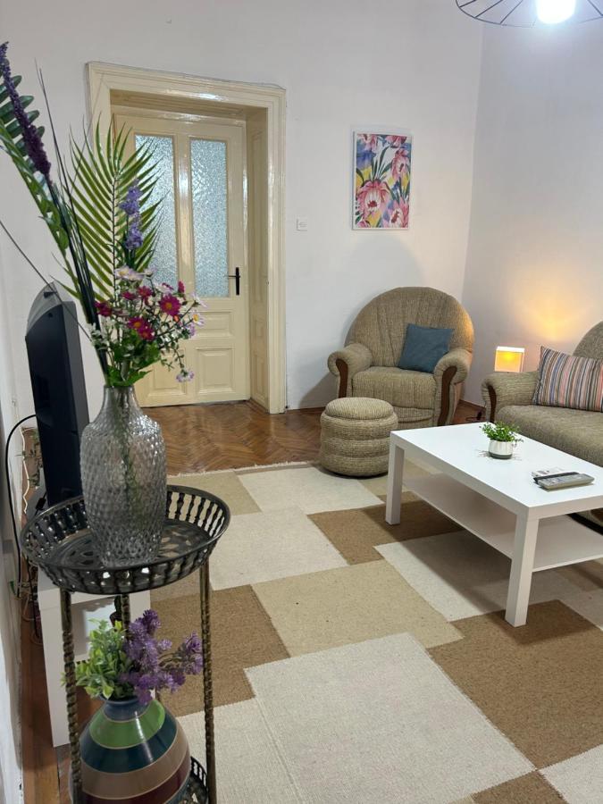 Nf'S Home Lovely Apartment In Heart Of Sarajevo Exterior foto